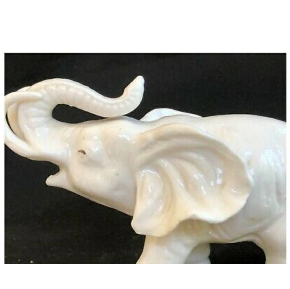 White 🐘❤❤❤🥰 - Picture 3 of 6